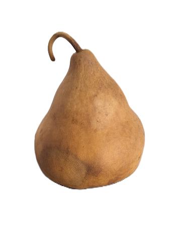 BABOO POINTUE