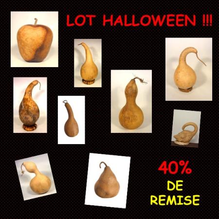 Lot de 9 Gourdes spéciales Halloween