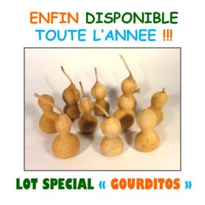 Lot 10 Gourdes Spéciales Gourditos