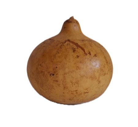 Chapo Pointu Mali