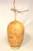 GLAND