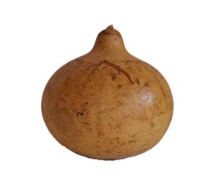 Chapo Pointu Mali