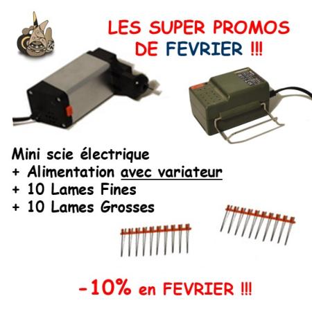 Offre Spéciale Scie électrique