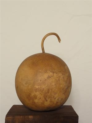 BOULE