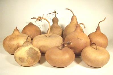 Lot Spécial Boîtes