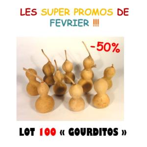 Lot de 100 Gourditos
