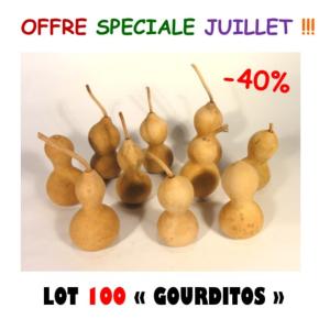 Lot de 100 Gourditos