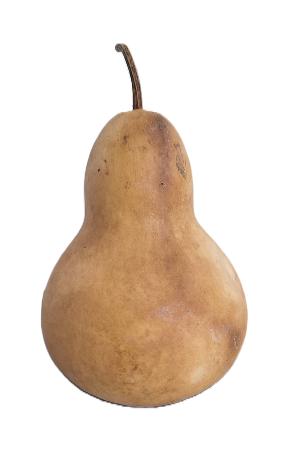 BIG BOULBOUTTE