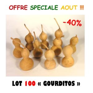 Lot de 100 Gourditos
