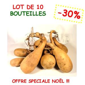 Lot de 10 Bouteilles