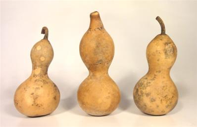 GOURDITOS