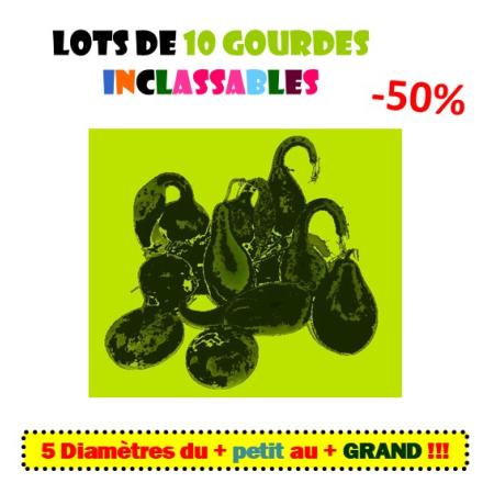 Lot de 10 Gourdes inclassables