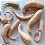Lot de 9 gourdes françaises inclassables tordues