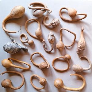 Lot de 17 Gourdes inclassables tordues