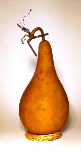 POIRE POINTUE