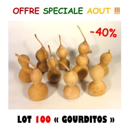 Lot de 100 Gourditos