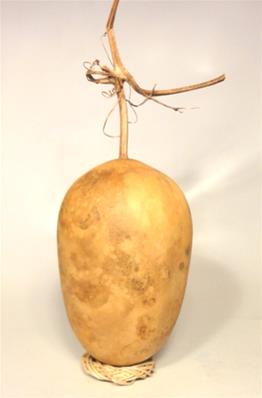 GLAND