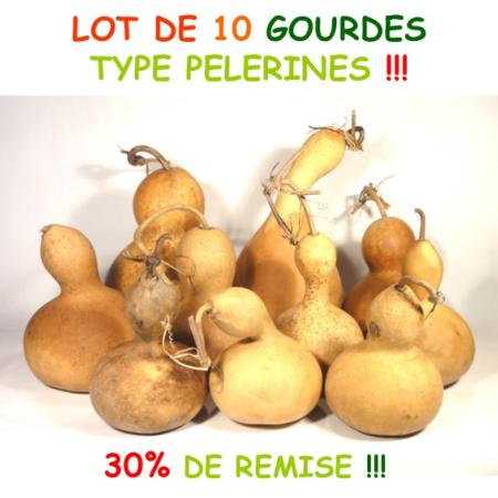 LOT DE 9 GOURDES TYPE PELERINE