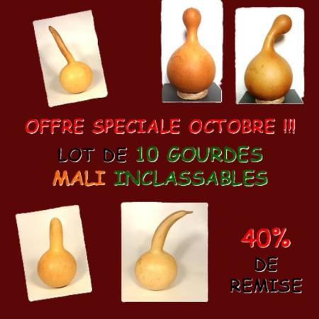 Lot de 10 Gourdes inclassables MALI