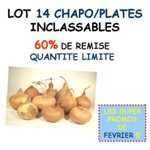 Lot de 14 Chapo/Plates inclassables