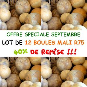 Lot de 12 Boules Mali R75