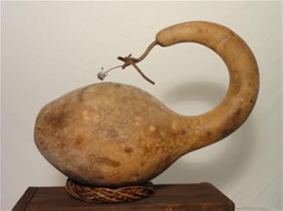 CAPTAIN HOOK MARENKA