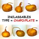 INCLASSABLES Type Chapo ou Plate