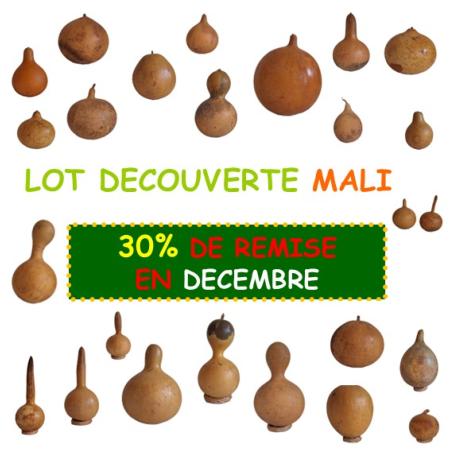 LOT DECOUVERTE MALI