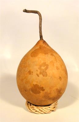 OEUF POINTU