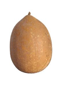 OVO POINTU