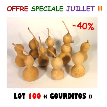 Lot de 100 Gourditos