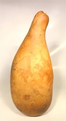 KASHINAS
