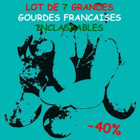 Lot de 7 Gourdes françaises inclassables