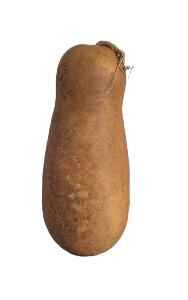ZUCCA