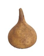 MEPLATE COURTE