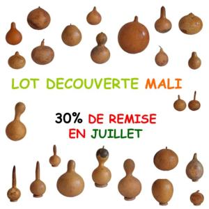 LOT DECOUVERTE MALI