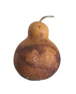 TIBOU