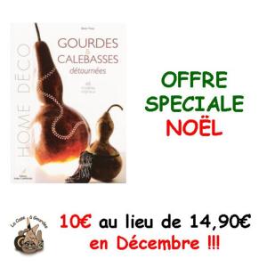 Gourdes et Calebasses détournées