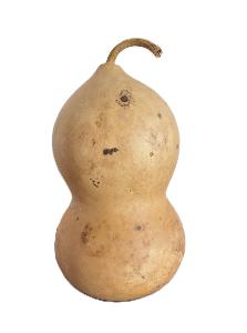 TICAOUETTE POINTUE