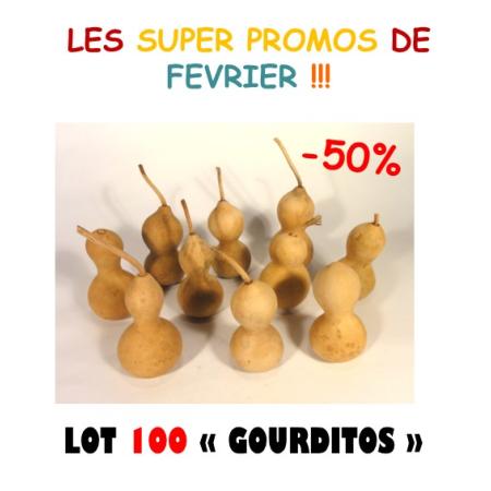 Lot de 100 Gourditos